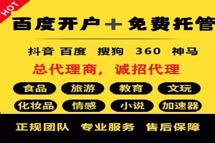 SEM竞价技巧：成功案例揭秘